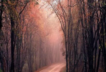 2026世界杯安全买球App下载 -南山智尚中标：洛阳市偃师人民医院工会合唱比赛服装采购项目中标结果公示