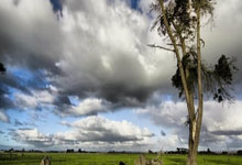 2026世界杯安全买球App下载 -南山智尚中标：洛阳市偃师人民医院工会合唱比赛服装采购项目中标结果公示