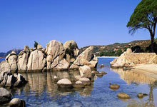 2026世界杯十大高水位外围平台榜单 -默(mò)茨：美国正遭受伊朗“羞辱(rǔ)”